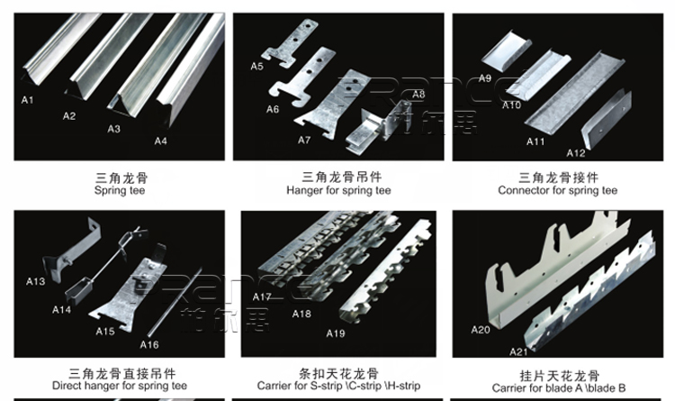 柏尔思三角龙骨